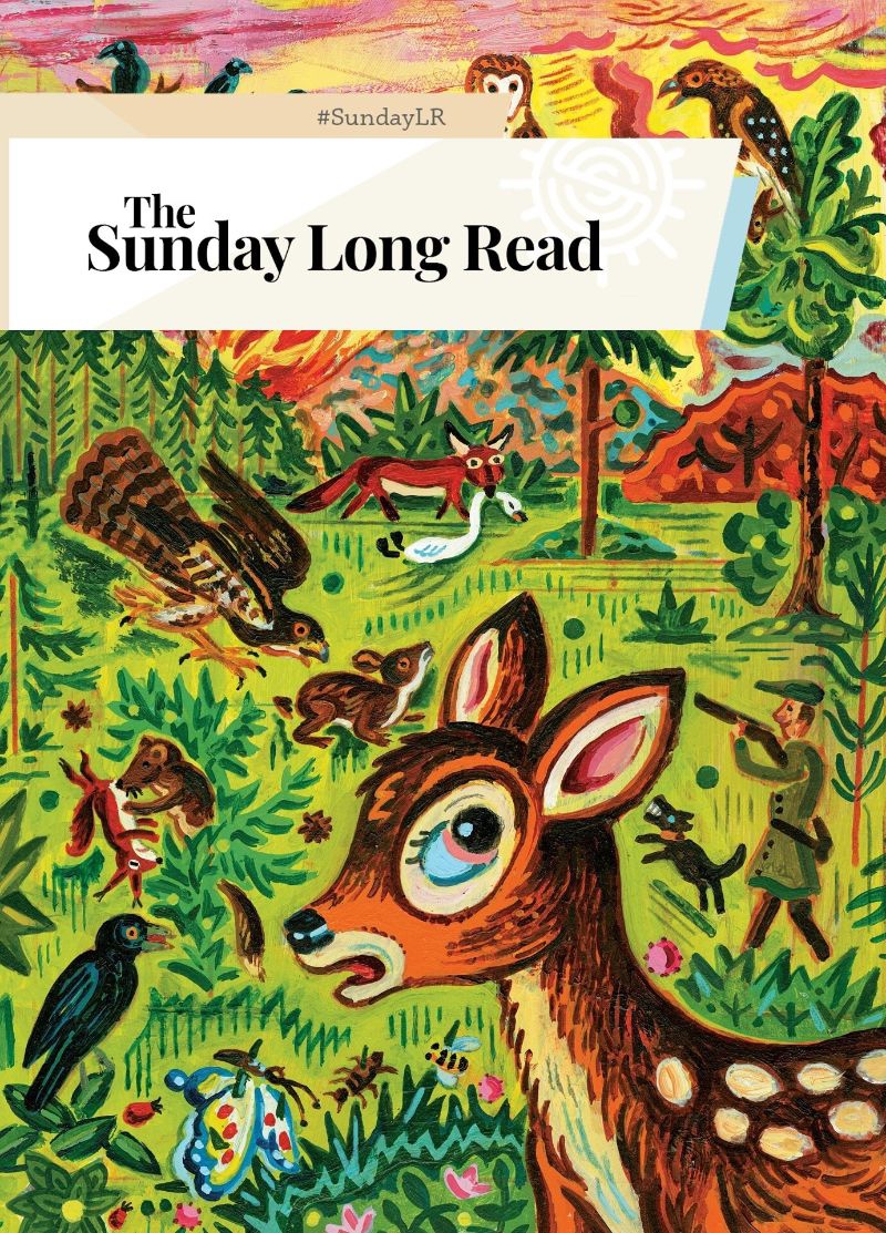 The Sunday Long Read, 1/30/22