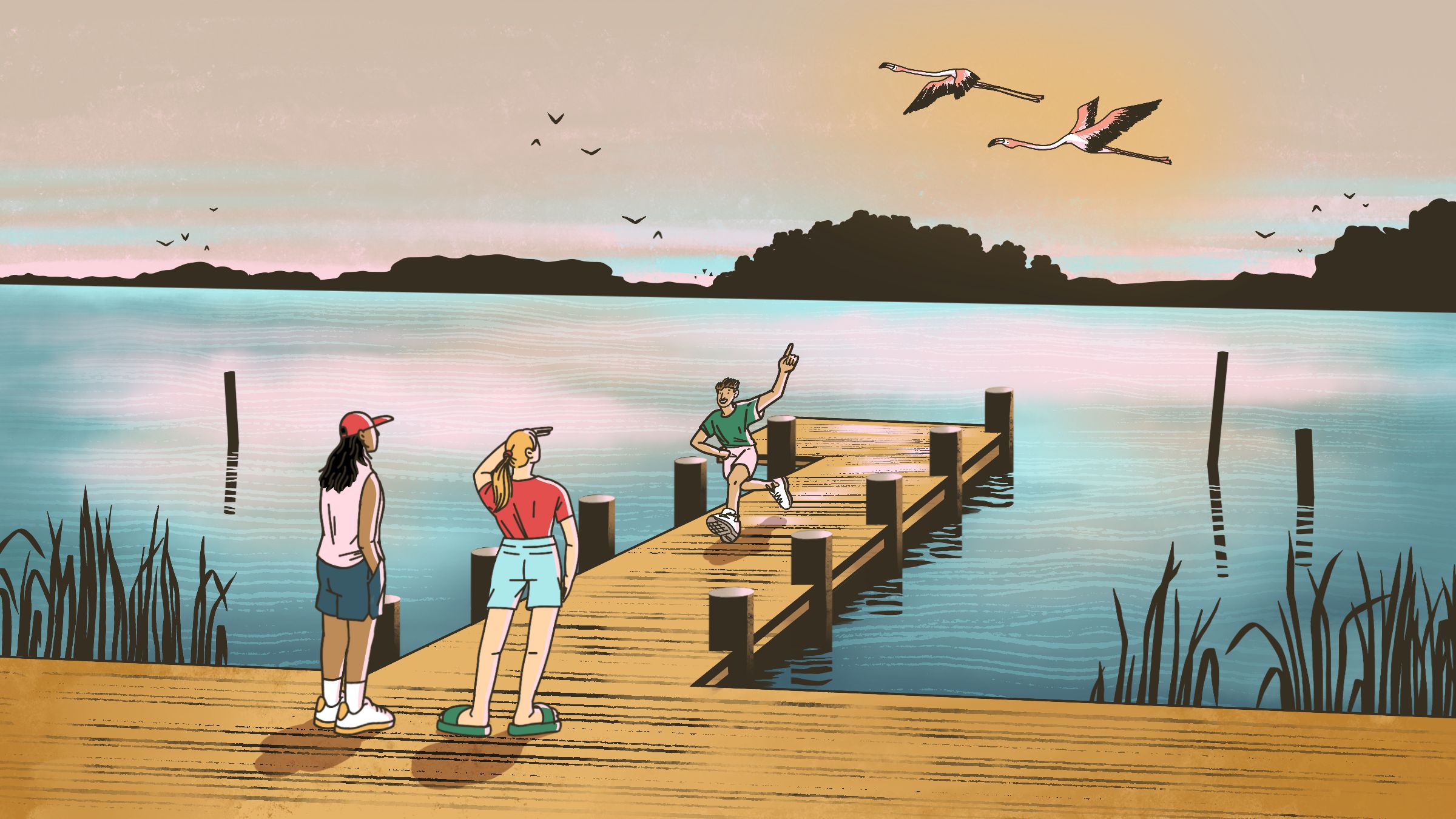 When Flamingos Came to the Chesapeake